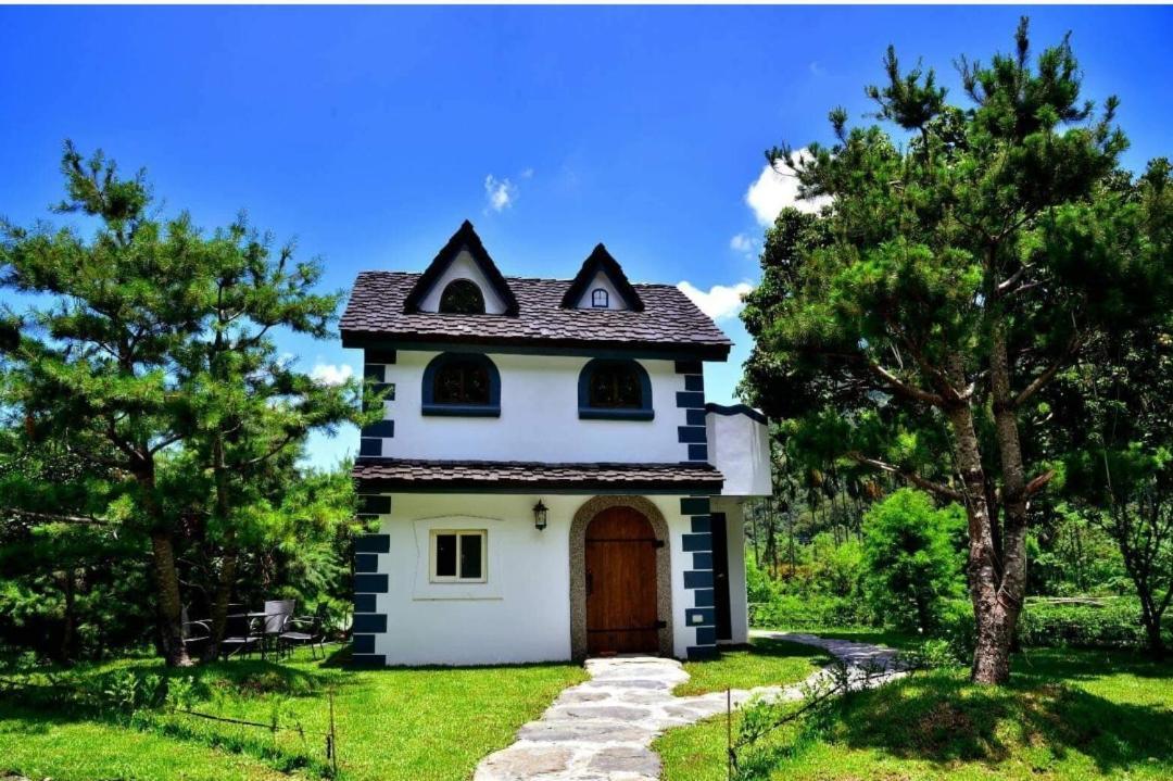 Mushroom Forest Guesthouse Camping Site 埔里 エクステリア 写真